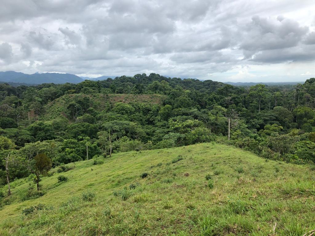Ocean View Farm with 214 Prime Acres for Sale Behind Quepos