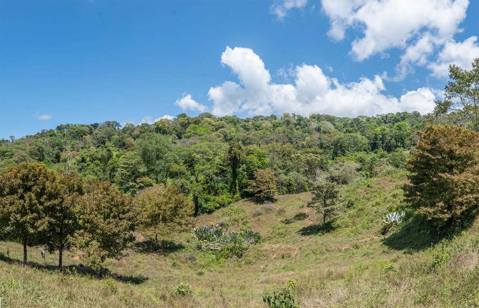 Prime Ocean View Development Land In Uvita Close to Dominical