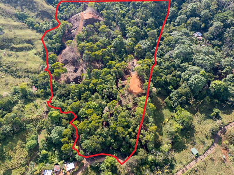 Pristine Jungle Ocean View Farm with Rivers in Dominical