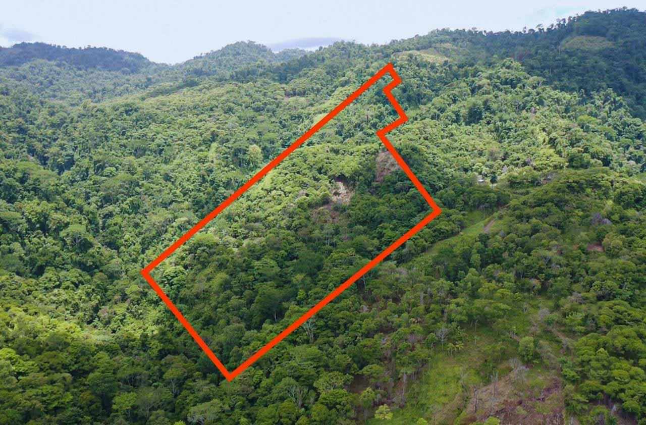 42 Acres With Waterfalls Ocean Views and Multiple Building Sites in Savegre Close to Quepos