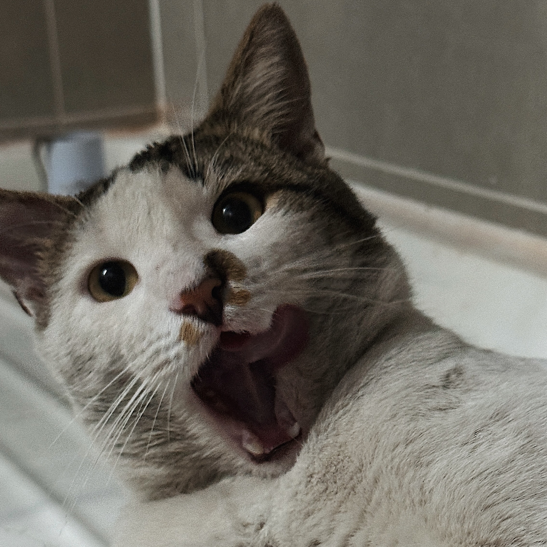 Foto de Julio