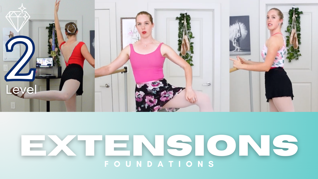 Extensions Foundations for Higher Legs