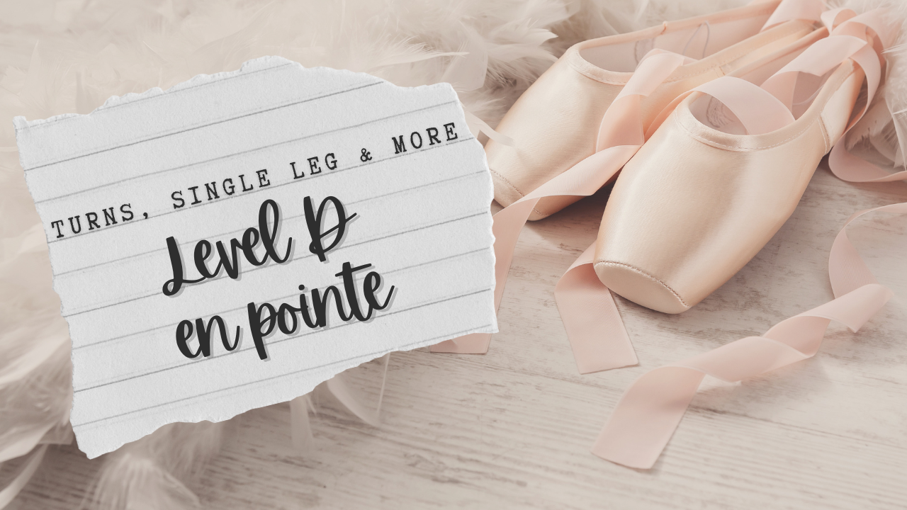 Pointe - Level D