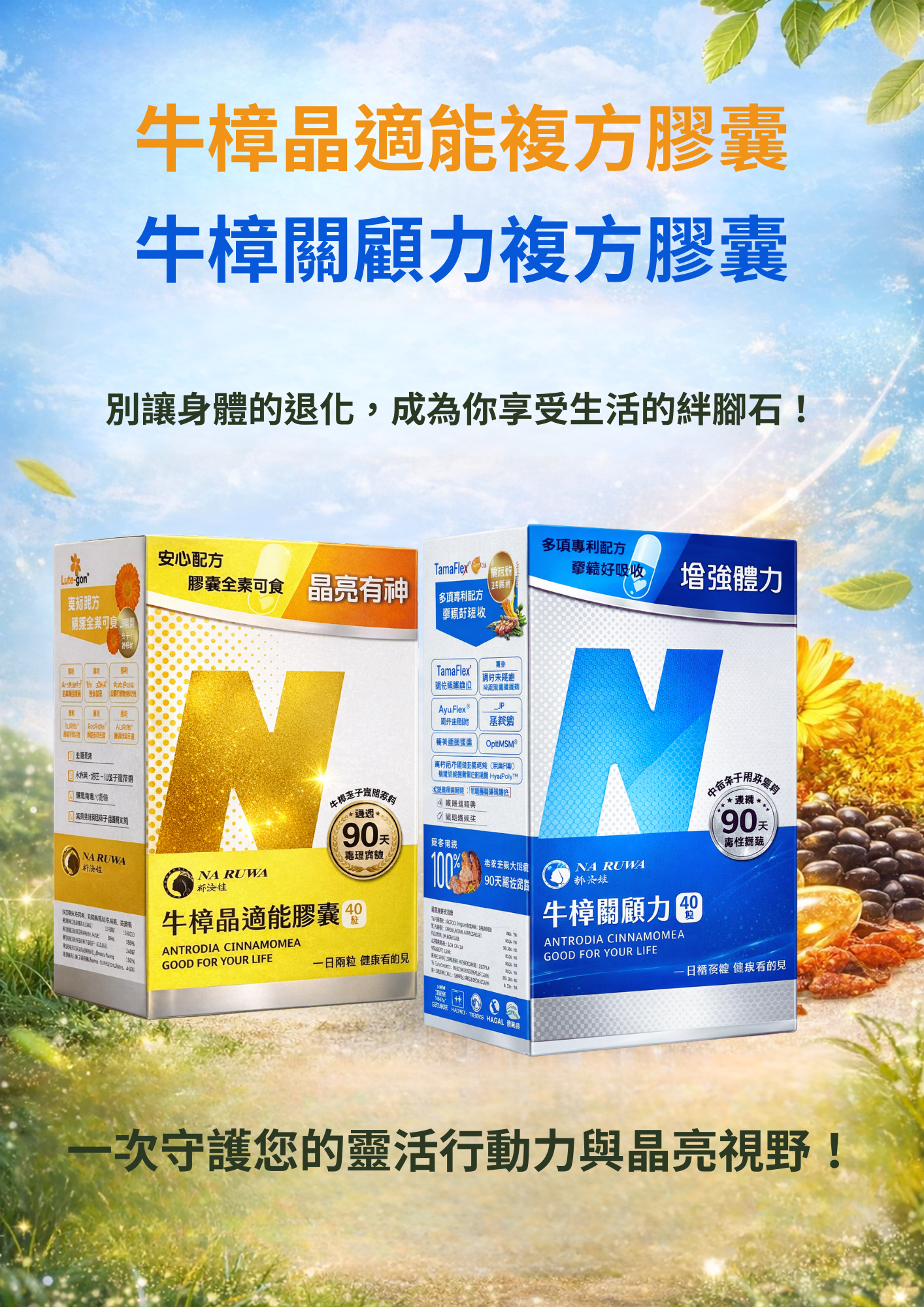 🔥超優惠組合🔥眼骨保健組|牛樟關顧力複方膠囊+牛樟晶適能複方膠囊 🔥超優惠組合🔥眼骨保健組|牛樟關顧力複方膠囊+牛樟晶適能複方膠囊