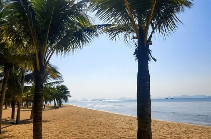 Bai Chay Beach