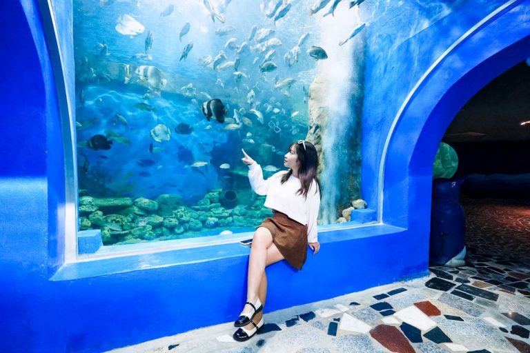 Bao Son Paradise Aquarium - Bao Son Paradise Theme Park