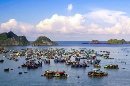 Cat Ba Island