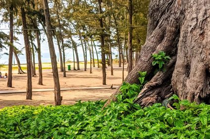 Doi Duong Beach