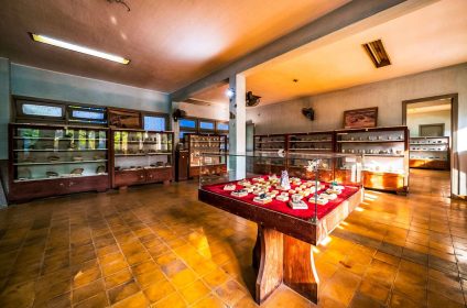 Geological Museum of Vietnam