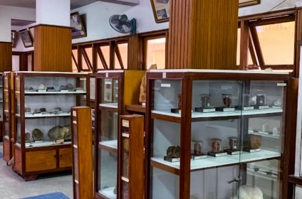 Geological Museum of Vietnam