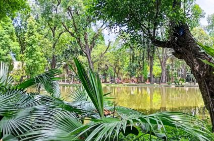 Hanoi Botanical Garden