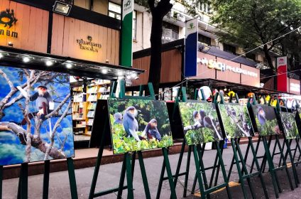 Ho Chi Minh City's Book Street