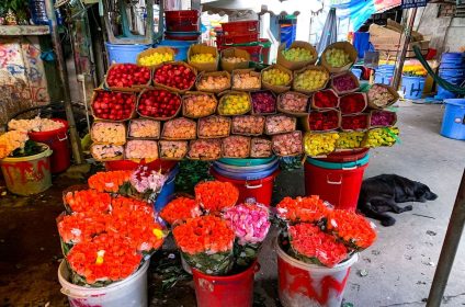 Ho Thi Ky Flower Market