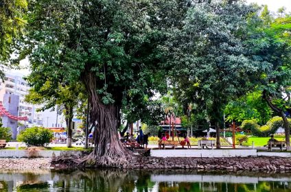 Le Thi Rieng Cultural Park