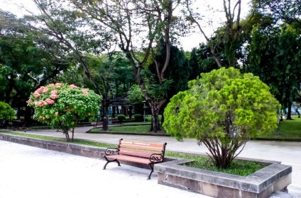 Le Van Tam Park