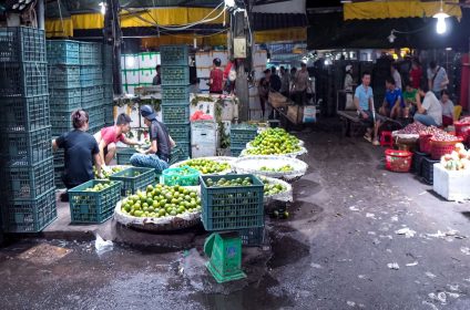 Long Bien Market