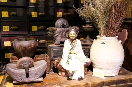 Museum of Traditional Vietnamese Medicine - FITO Museum