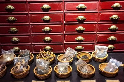 Museum of Traditional Vietnamese Medicine - FITO Museum