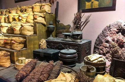 Museum of Traditional Vietnamese Medicine - FITO Museum