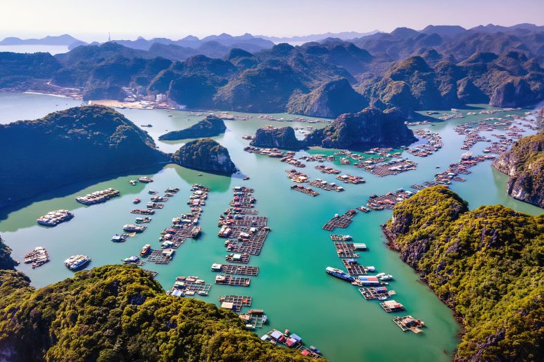 Food & Restaurants In Ha Long Bay - Ha Long Bay, Vietnam - Travel S Helper