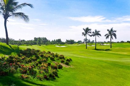 Royal Island Golf and Villas