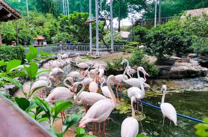 Saigon Zoo and Botanical Garden