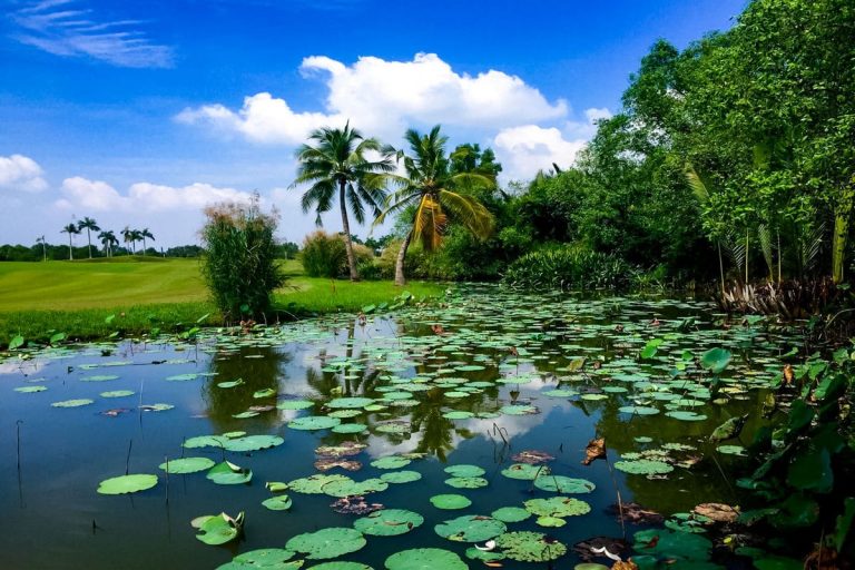 Golf Courses In Ho Chi Minh City 3 | Vietnam - By Travel S Helper Taekwang Jeongsan Country Club