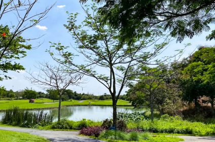 Club de golf des colombes jumelles