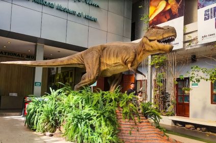 Vietnam National Museum of Nature
