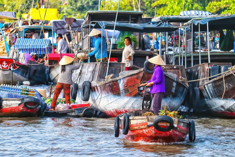 Demografi Vietnam - Panduan Perjalanan Vietnam - Pembantu Perjalanan S