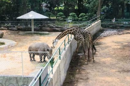 Saigon Zoo und Botanischer Garten