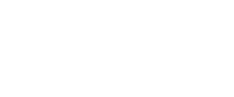 Viking Professional Service