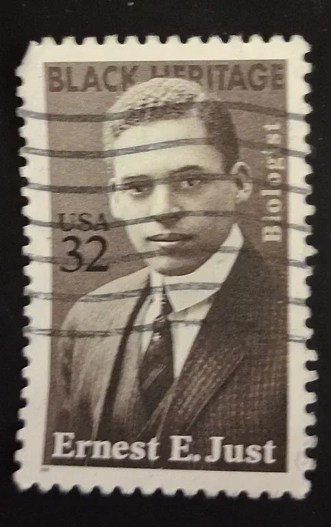 United States 1996 32 Ernest E. Just 32c Black Heritage stamp, photographed by a collector