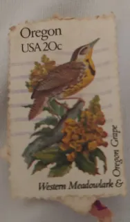 United States 1982 20c State Birds and Flowers Oregon 20c stamp, photographed by a collector