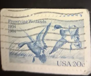 United States 1984 20c Preserving Wetlands 20c stamp, photographed by a collector