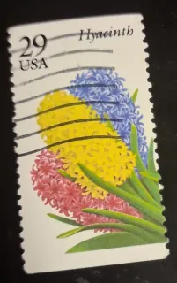 United States 1993 29 cents Garden Flowers Hyacinth 29c stamp, photographed by a collector