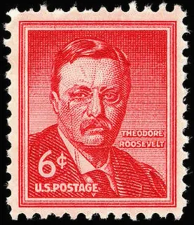 United States 1955 6c Theo Roosevelt stamp, photographed by a collector