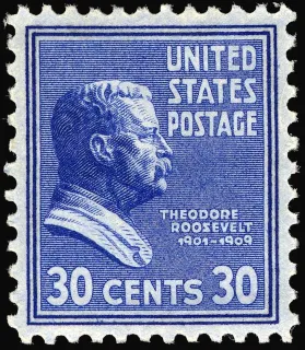 United States 1938 30c Theo Roosevelt Issue stamp, photographed by a collector