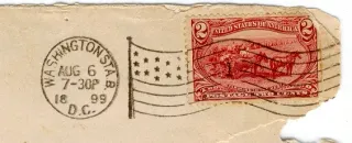 Another photo of the United States 1898 2c Flag cancel stamp