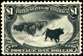 United States 1898 postage one dollar 1dollar Trans Miss stamp, photographed by a collector