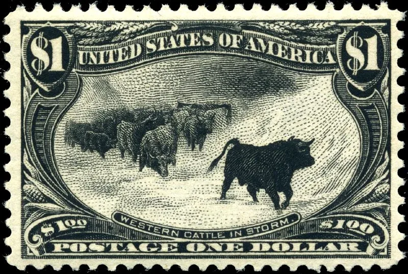 United States 1898 postage one dollar 1dollar Trans Miss stamp, photographed by a collector