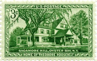 United States 1953 3 cents TheodoreRooseveltHome stamp, photographed by a collector