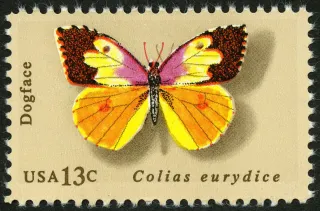 United States 1977 13 cents DogfaceStamp stamp, photographed by a collector