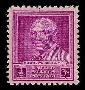 United States 1948 3c CarverStamp stamp, photographed by a collector