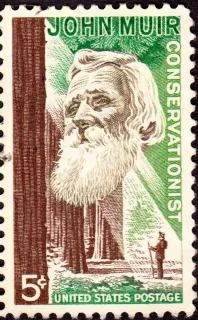 Another photo of the United States 1964 5c JohnMuirStamp stamp