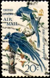 United States 1963 20c Estampilla de los Estados Unidos stamp, photographed by a collector