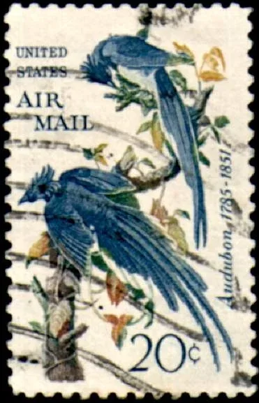 United States 1963 20c Estampilla de los Estados Unidos stamp, photographed by a collector
