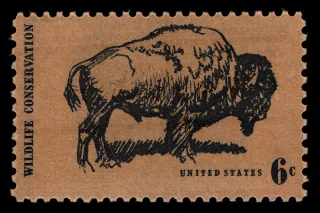 United States 1970 6 cents Estampilla de los Estados Unidos stamp, photographed by a collector
