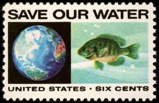 United States 1970 six cents Pisce Usstamp save our stamp, photographed by a collector