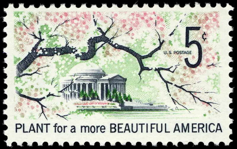 United States 1966 5c Fujikawa stamp, photographed by a collector